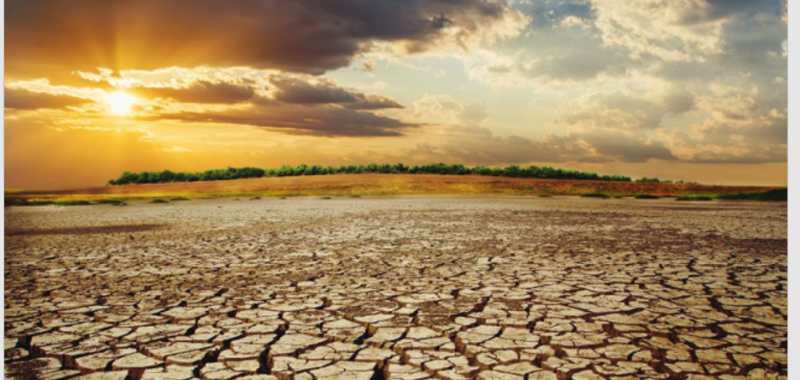 KI&Eacute;G&Eacute;S - Hogyan ismerj&uuml;k fel, &eacute;s mit tegy&uuml;nk?