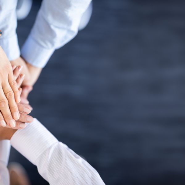 Az Action Learning, mint az egy&uuml;ttműk&ouml;d&eacute;s fejleszt&eacute;s&eacute;nek egyik eszk&ouml;ze