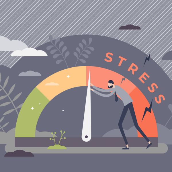 Reziliencia fejleszt&eacute;s: a belső szil&aacute;rds&aacute;g el&eacute;r&eacute;se