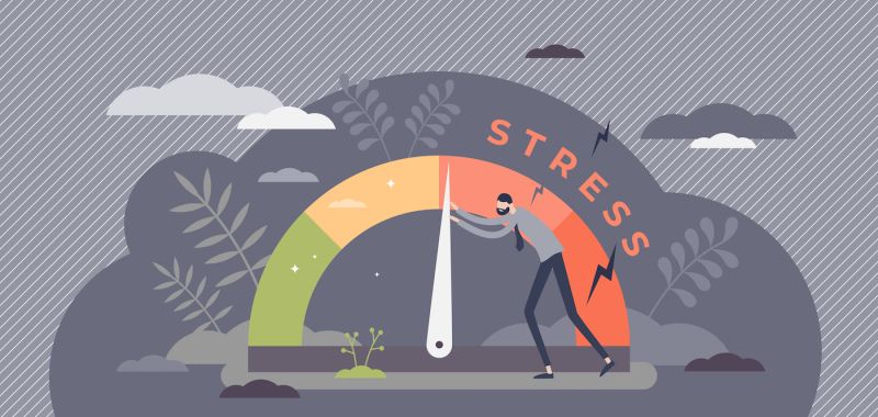 Reziliencia fejleszt&eacute;s: a belső szil&aacute;rds&aacute;g el&eacute;r&eacute;se