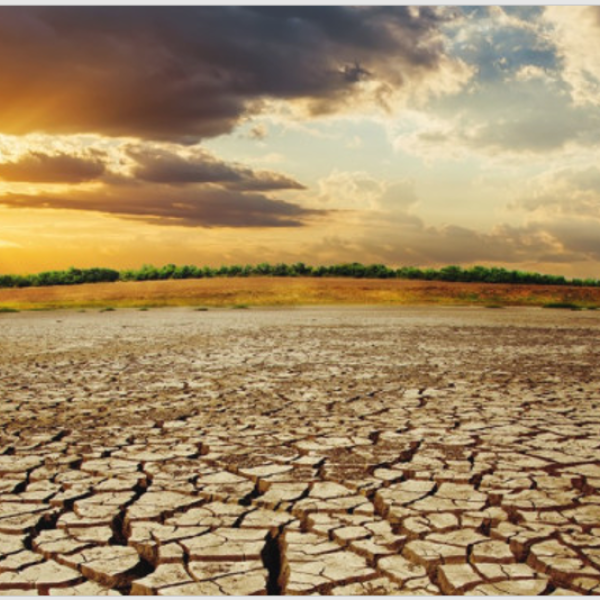 KIÉGÉS - Hogyan ismerjük fel, és mit tegyünk?